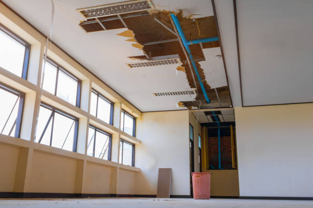 Best Water damage mitigation services  in Hartsdale, NY