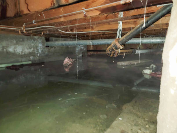 Best Flooded house restoration  in Hartsdale, NY