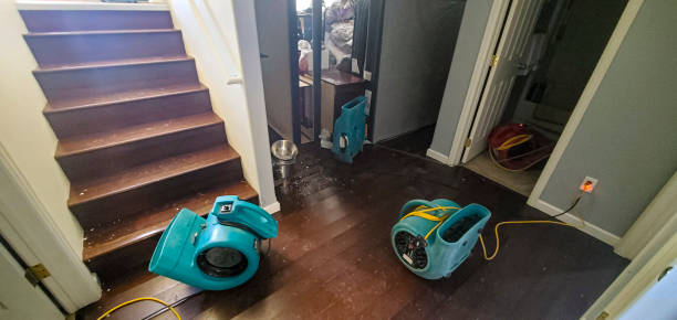 Trusted Hartsdale, NY Water damage restoration Experts
