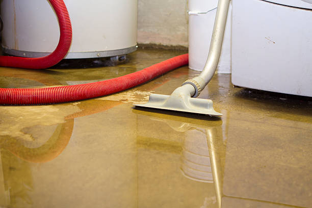 Best Carpet water damage restoration  in Hartsdale, NY