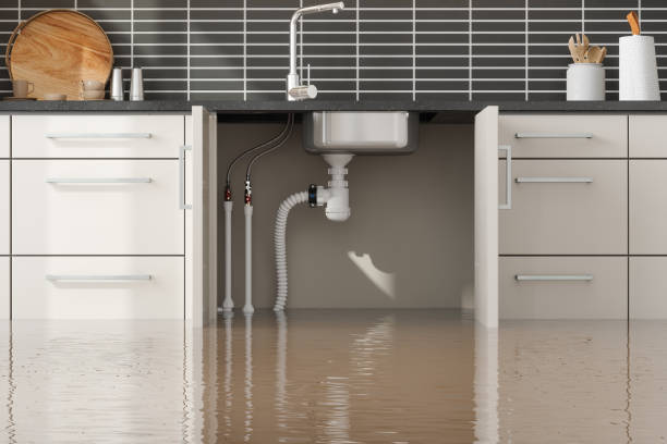 Best Water damage cleanup near me  in Hartsdale, NY